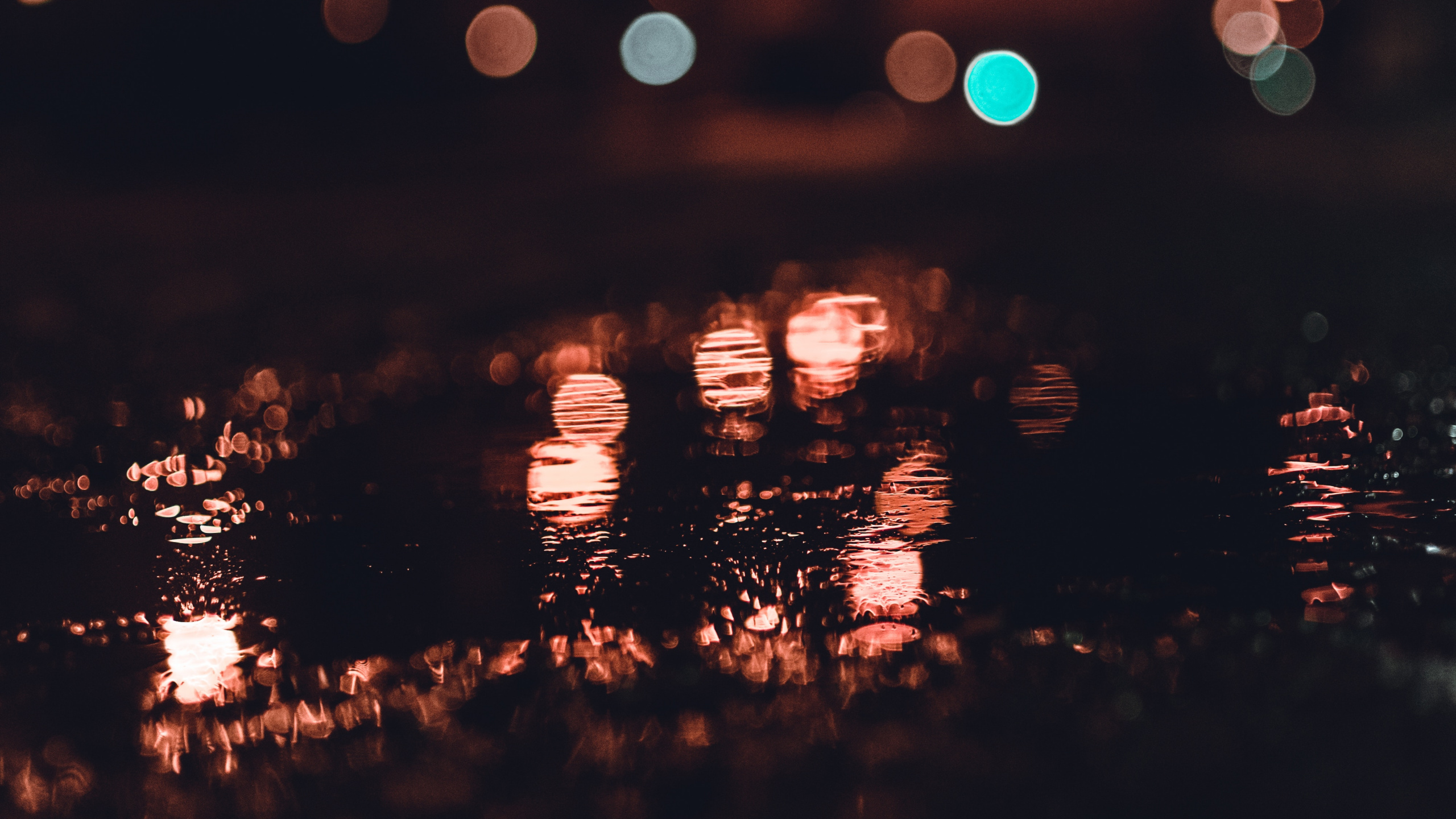 Обои облако, сияние, темнота, дерево, небо в разрешении 2560x1440