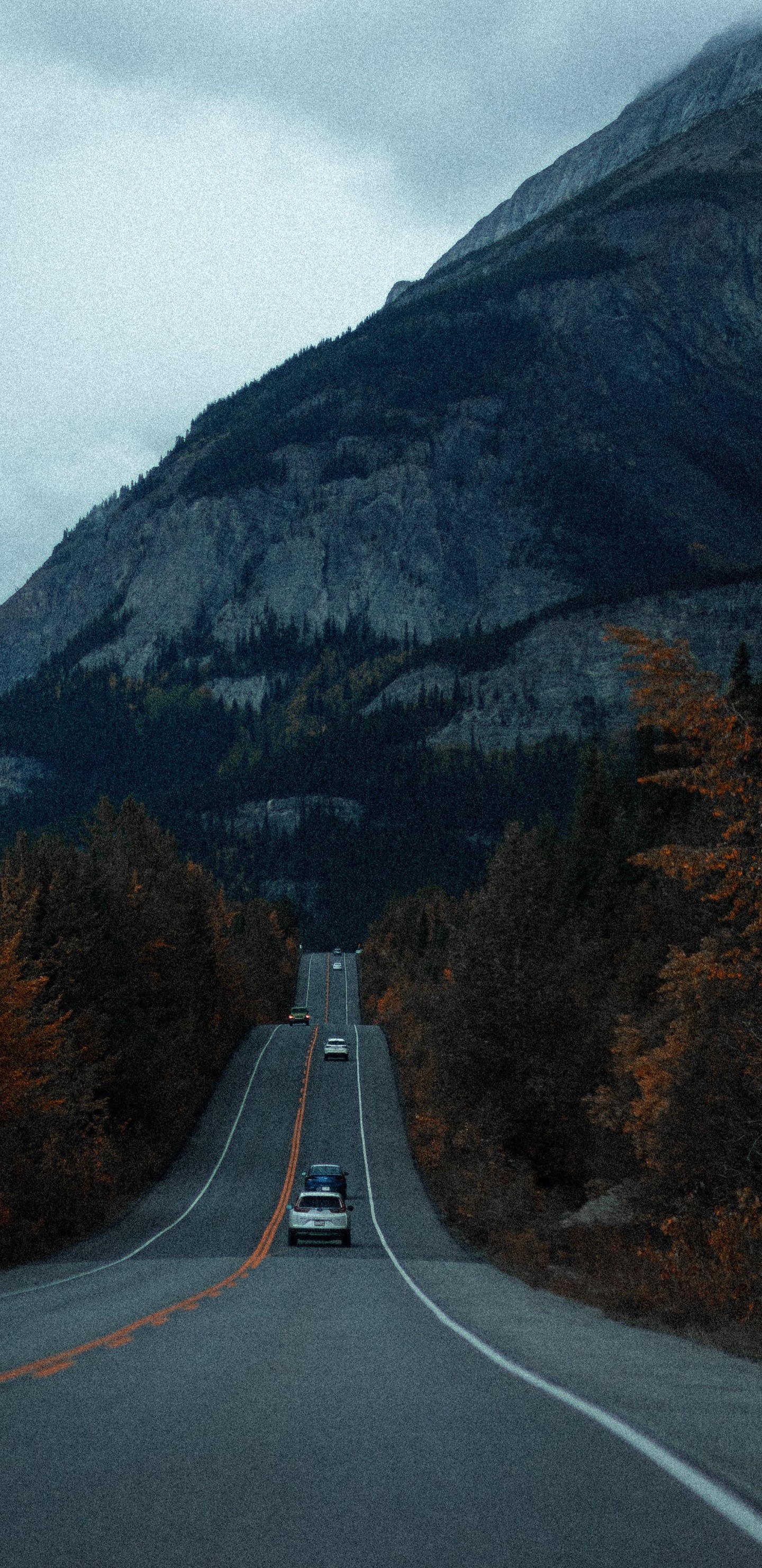 Обои нагорье, гора, облако, легковые автомобили, растение в разрешении 1440x2960