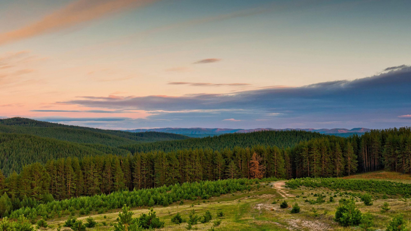 Обои природа, гора, дикая местность, нагорье, дерево в разрешении 1366x768