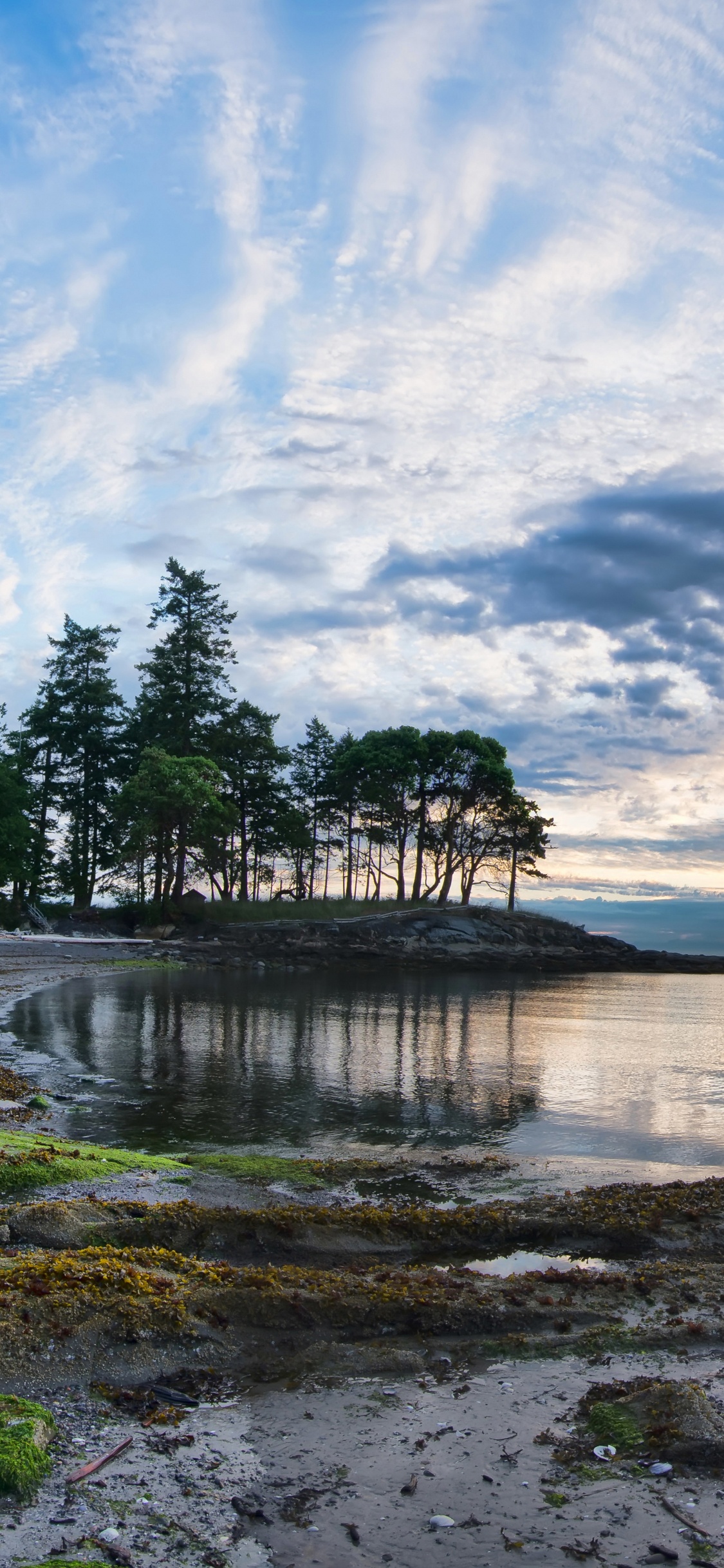 Обои природа, вода, облако, берег, озеро в разрешении 1125x2436