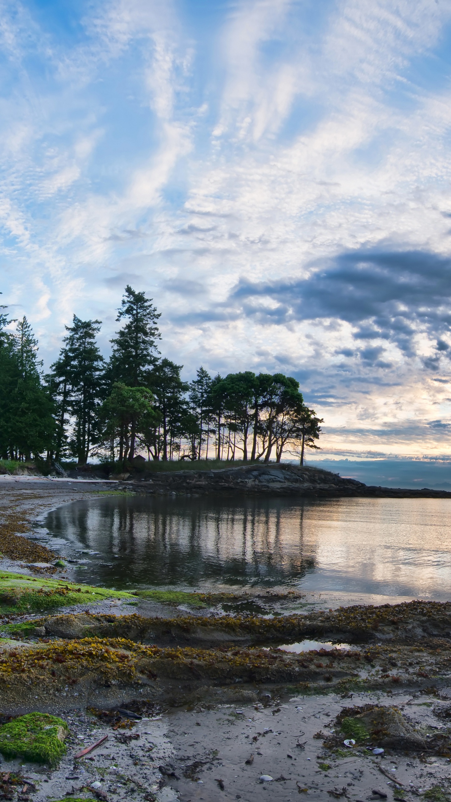 Обои природа, вода, облако, берег, озеро в разрешении 1440x2560