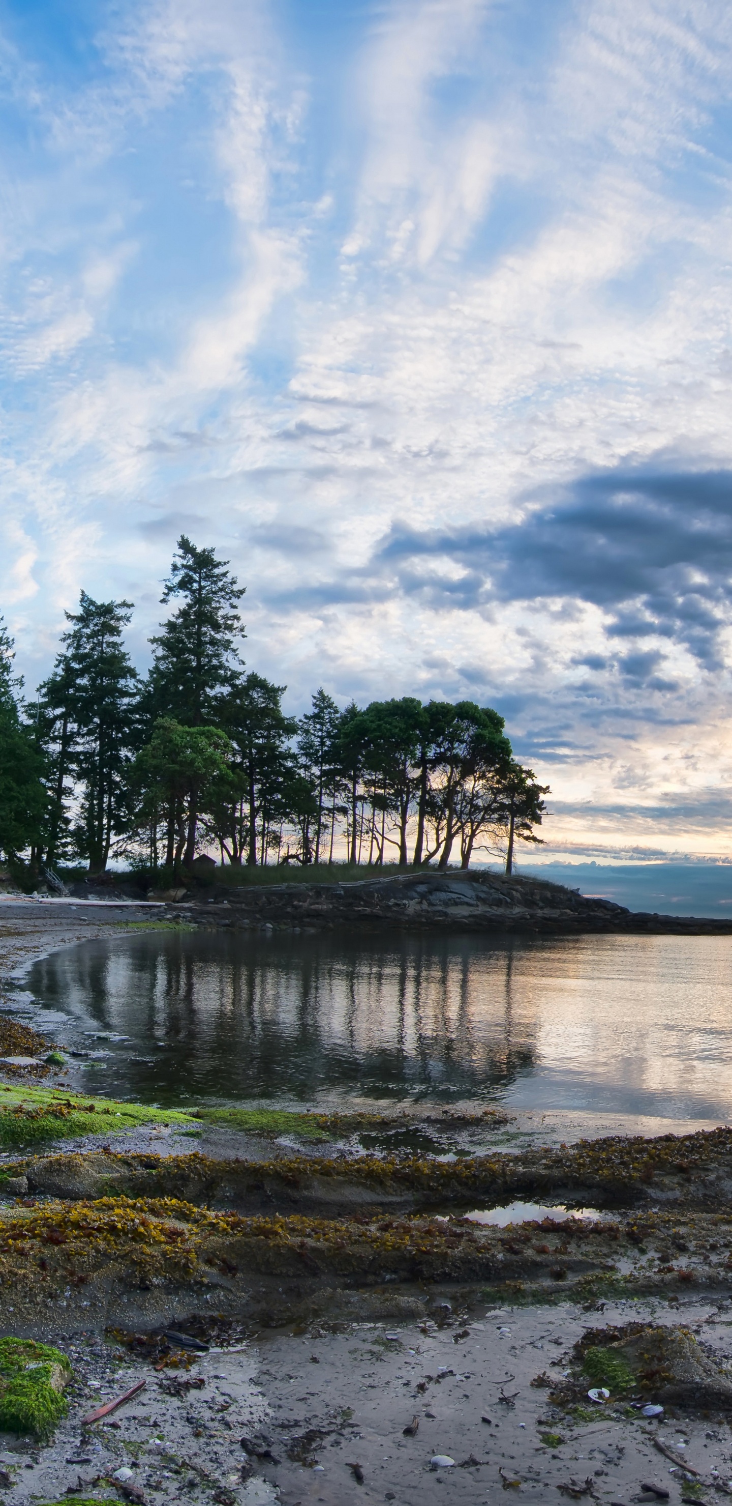 Обои природа, вода, облако, берег, озеро в разрешении 1440x2960