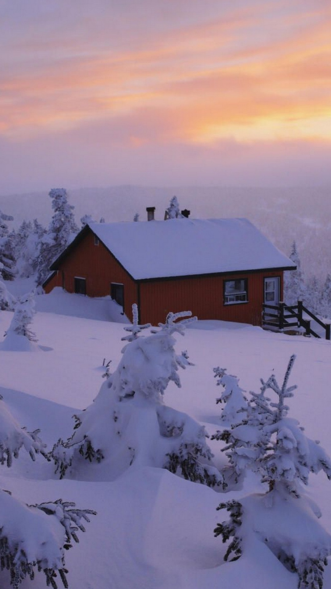 Обои зима, снег, замораживание, дерево, мороз в разрешении 1080x1920