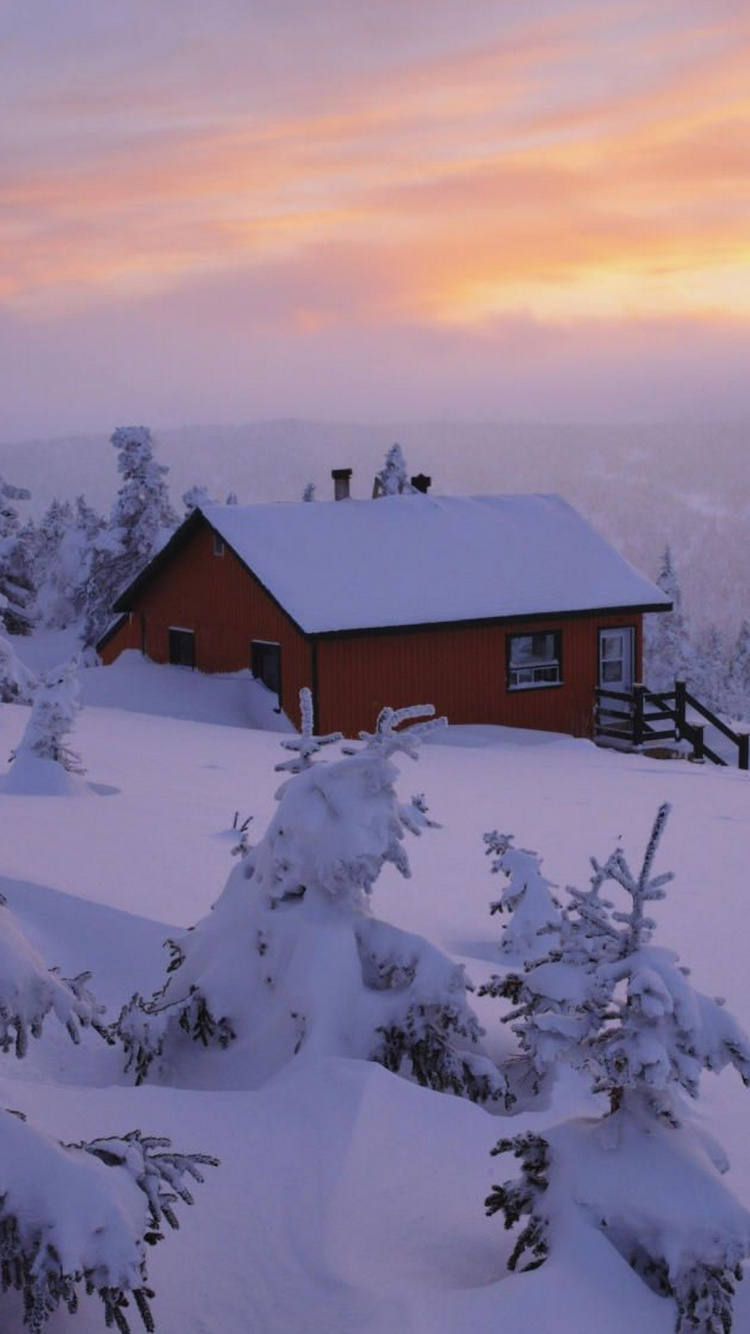 Обои зима, снег, замораживание, дерево, мороз в разрешении 750x1334