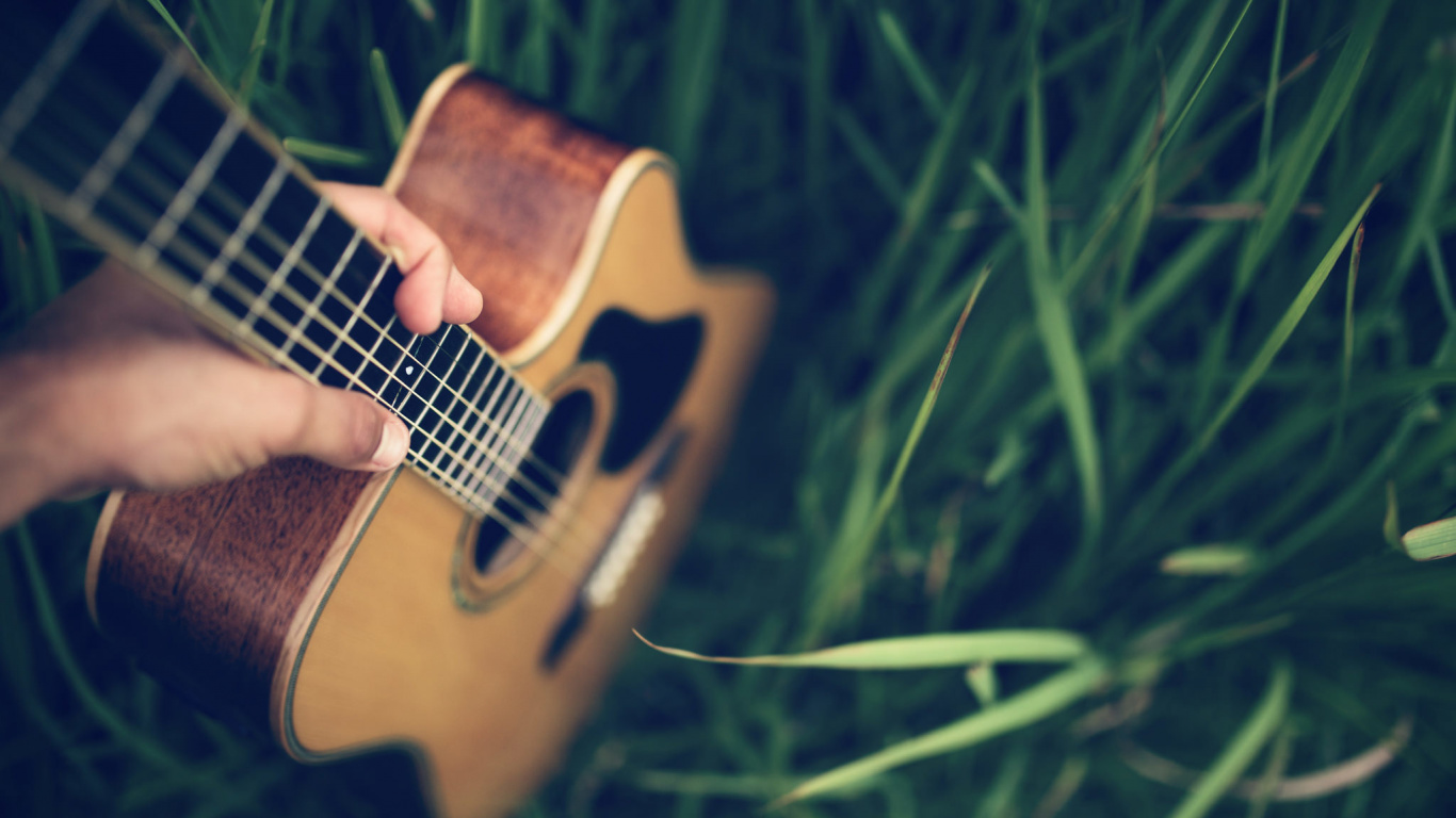 Обои акустическая гитара, гитара, струнный инструмент, басгитара, музыкальный инструмент в разрешении 1366x768