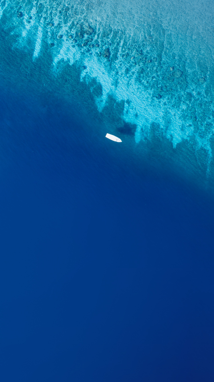 Обои Vivo, Vivo NEX Dual Display, обои vivo nex dual, Виво Некс, смартфон в разрешении 750x1334