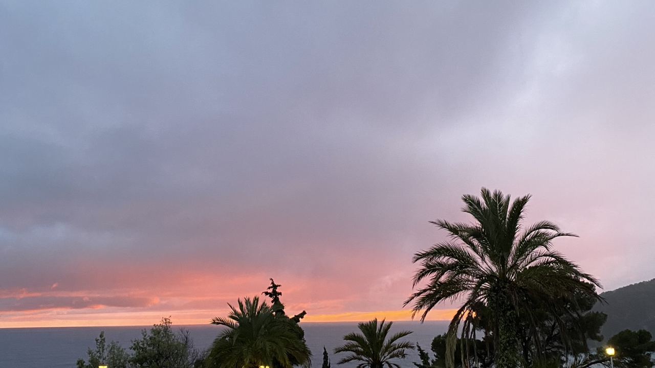 Обои пальмовые рощи, плавательный бассейн, сумрак, недвижимость, прибежище в разрешении 1280x720