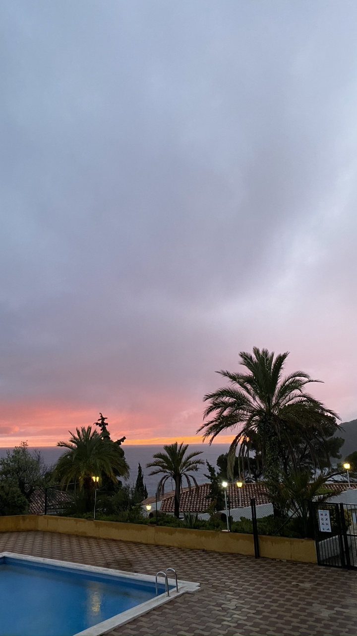 Обои пальмовые рощи, плавательный бассейн, сумрак, недвижимость, прибежище в разрешении 720x1280