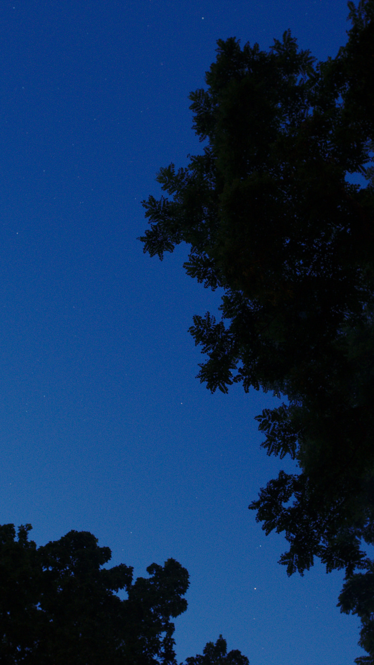 Обои синий, атмосфера, космос, Астрономия, темнота в разрешении 750x1334