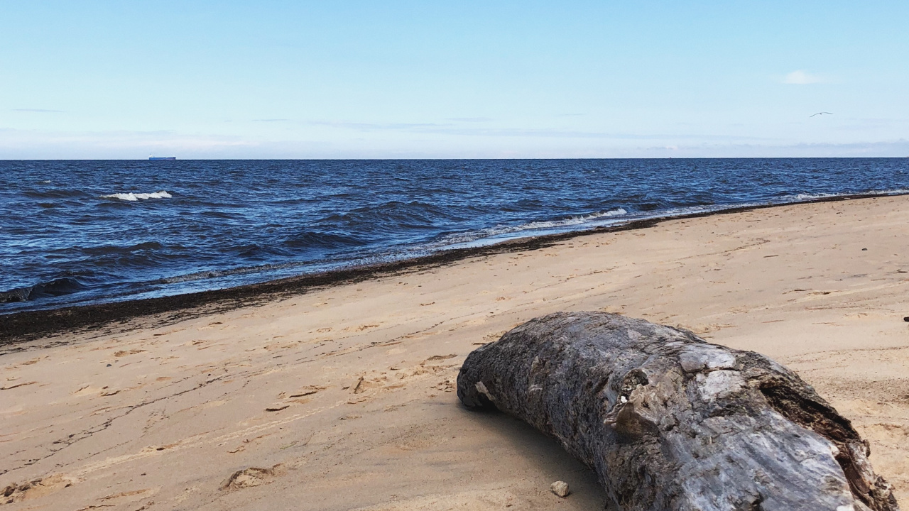 Обои море, пляж, физика, наука, берег в разрешении 1280x720