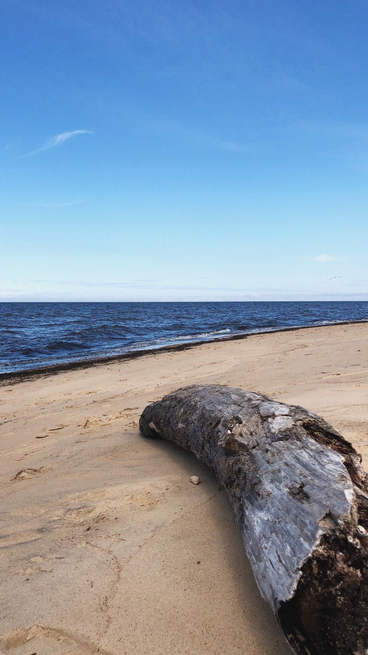 Обои море, пляж, физика, наука, берег в разрешении 720x1280