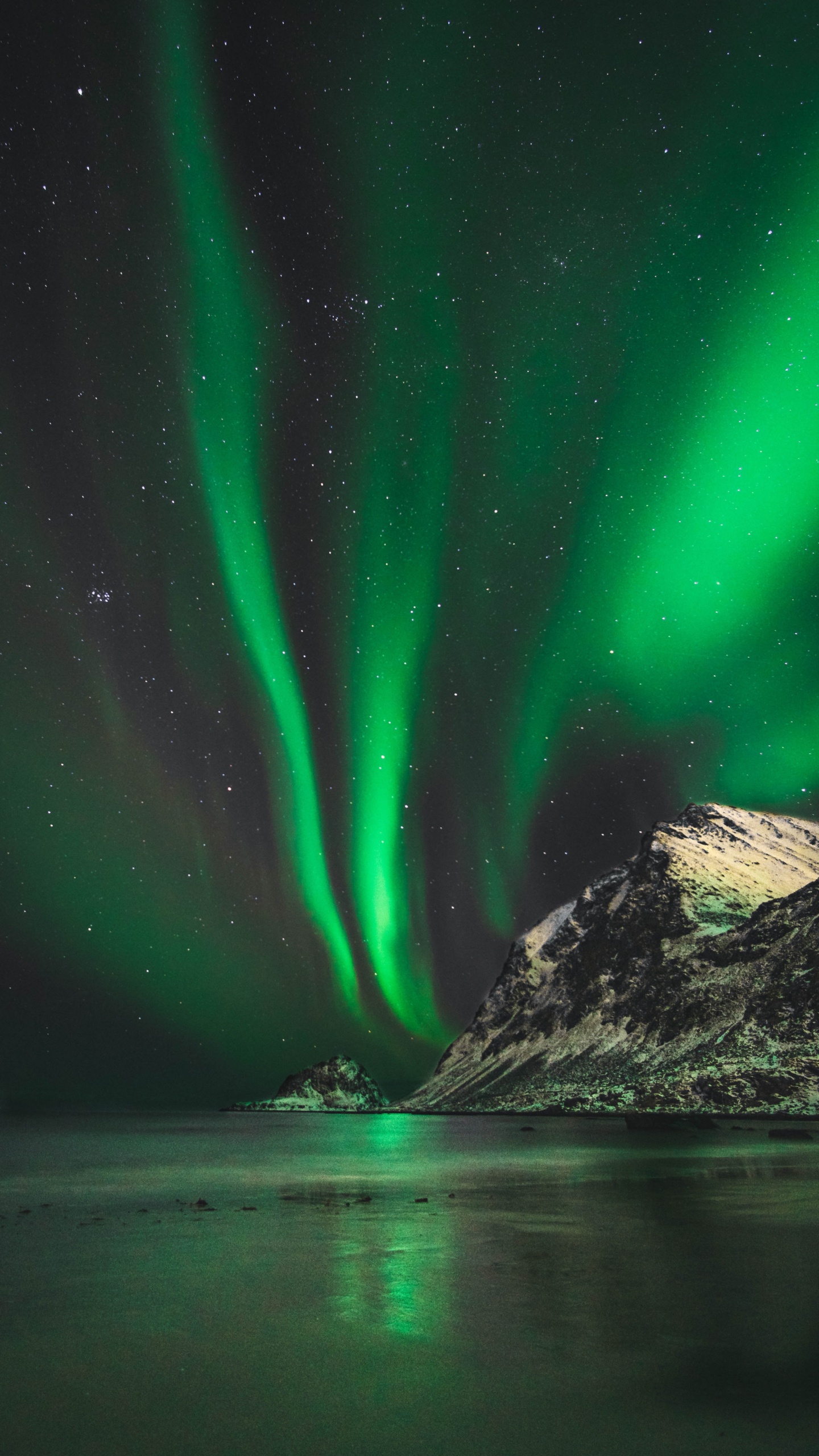 Обои Аврора, природа, зеленый, свет, атмосфера в разрешении 1440x2560