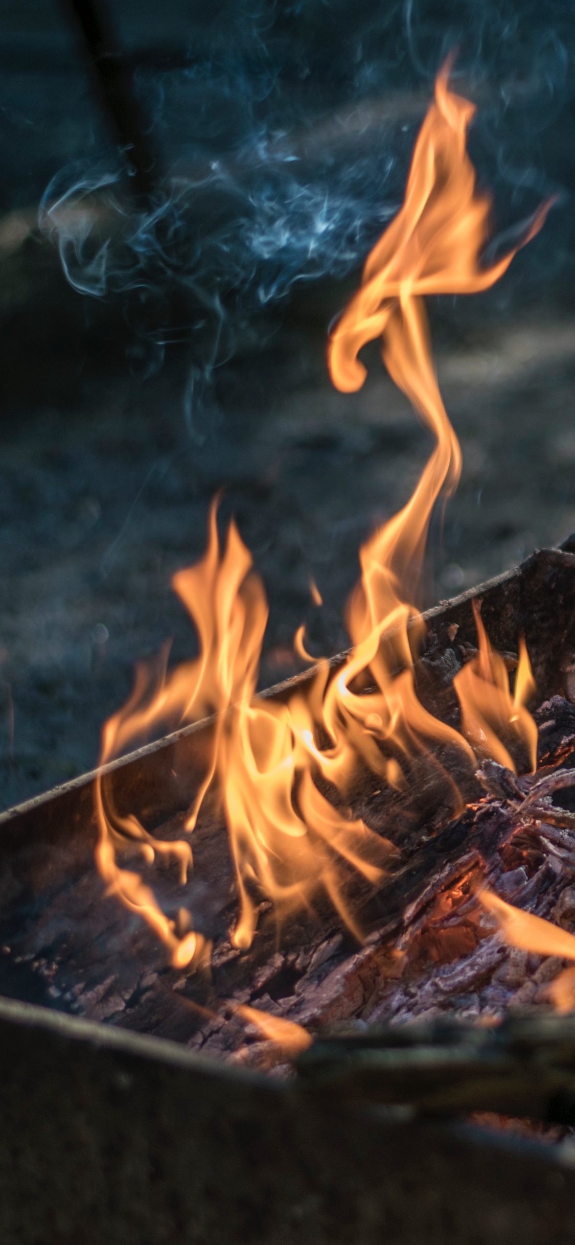 Обои пламя, огонь, барбекю, яблоко, iOS 14 в разрешении 1125x2436