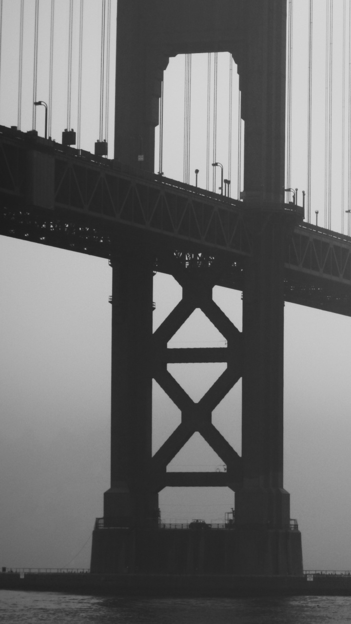 Обои мост Golden Gate, мост, дымка, вода, монохромный режим в разрешении 720x1280