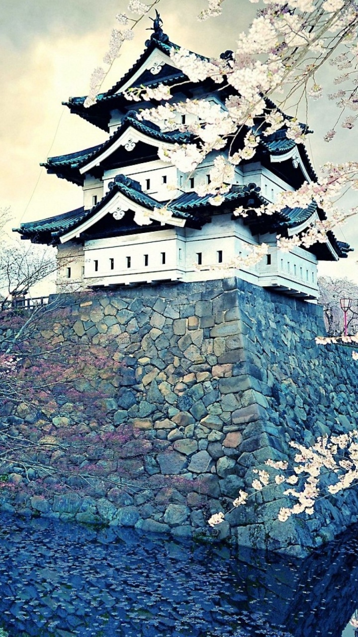 Обои дерево, ориентир, растение, зима, Замок Хиросаки в разрешении 720x1280