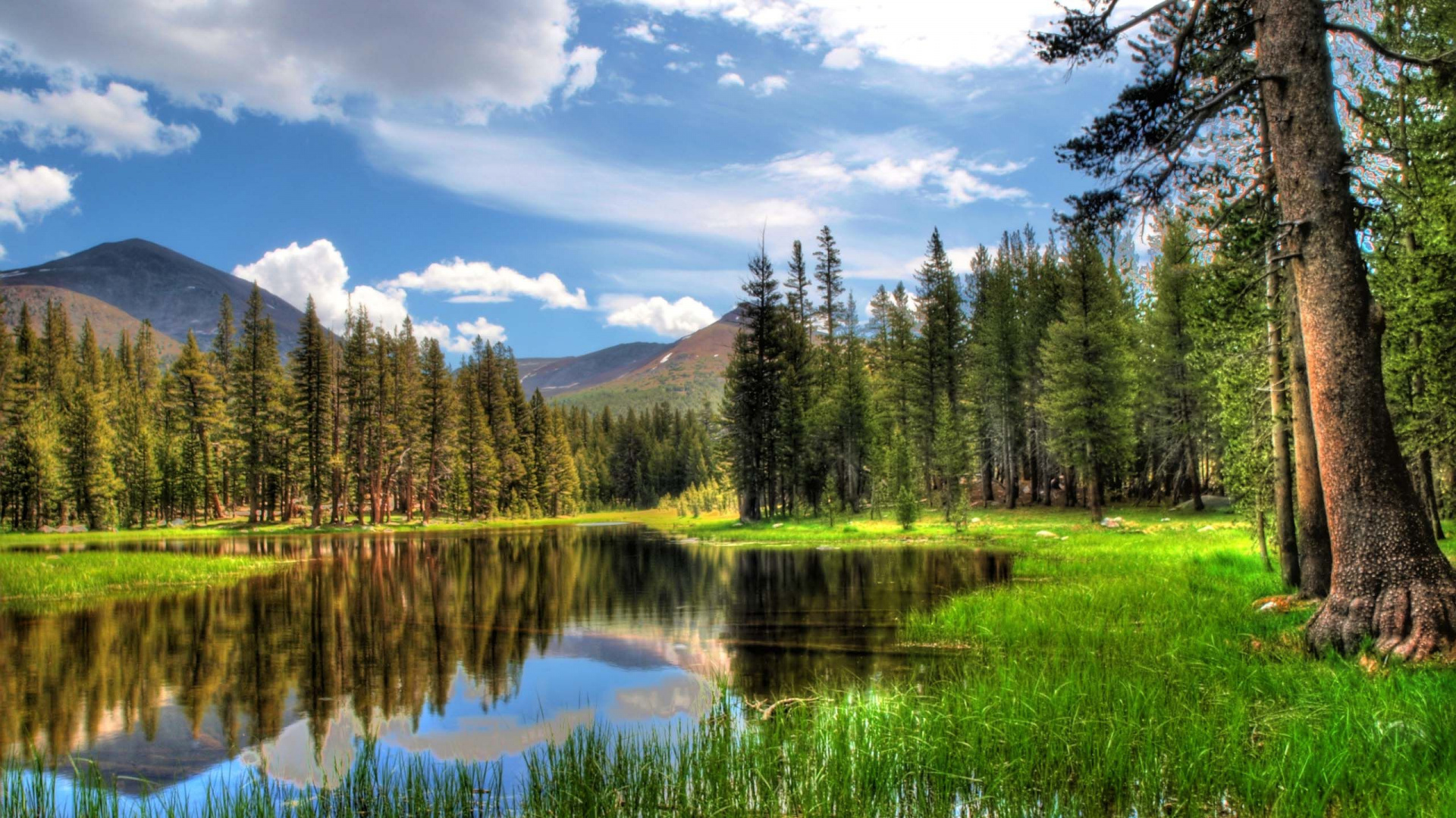Обои природа, отражение, дикая местность, природный заповедник, озеро в разрешении 1920x1080