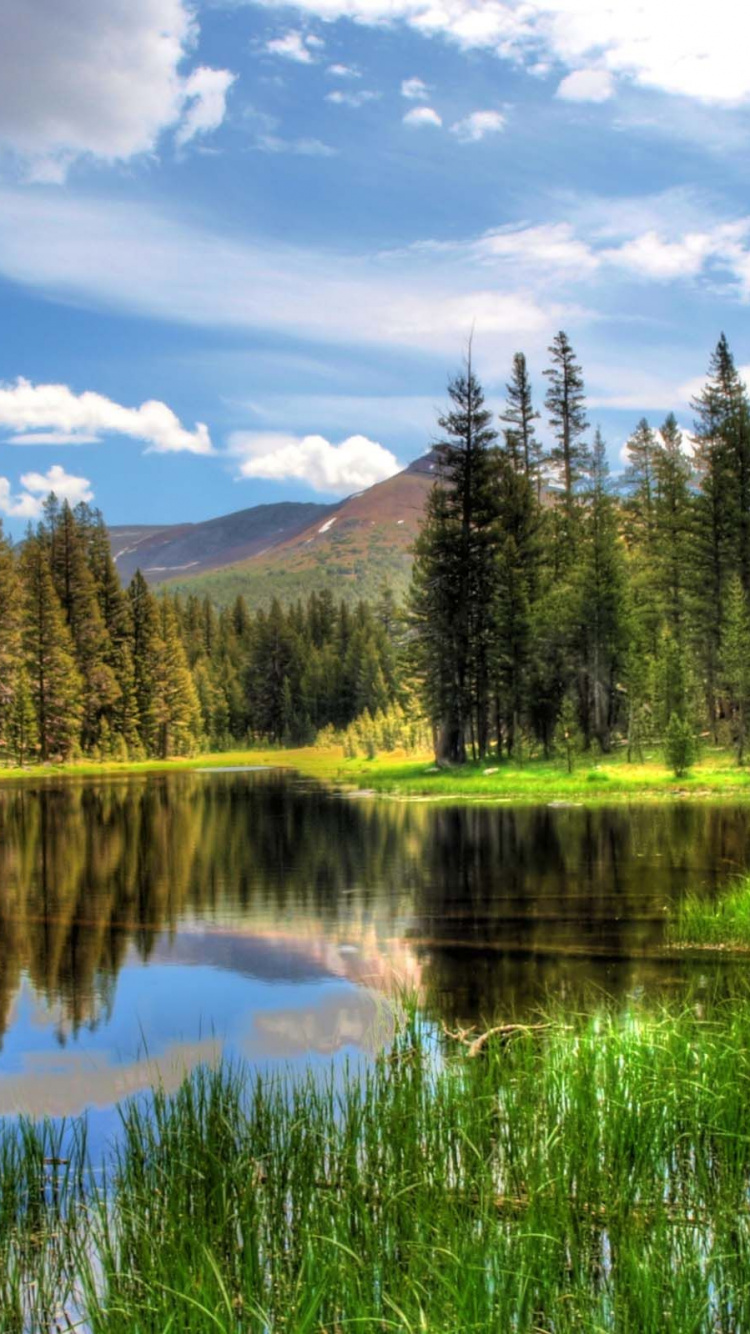 Обои природа, отражение, дикая местность, природный заповедник, озеро в разрешении 750x1334