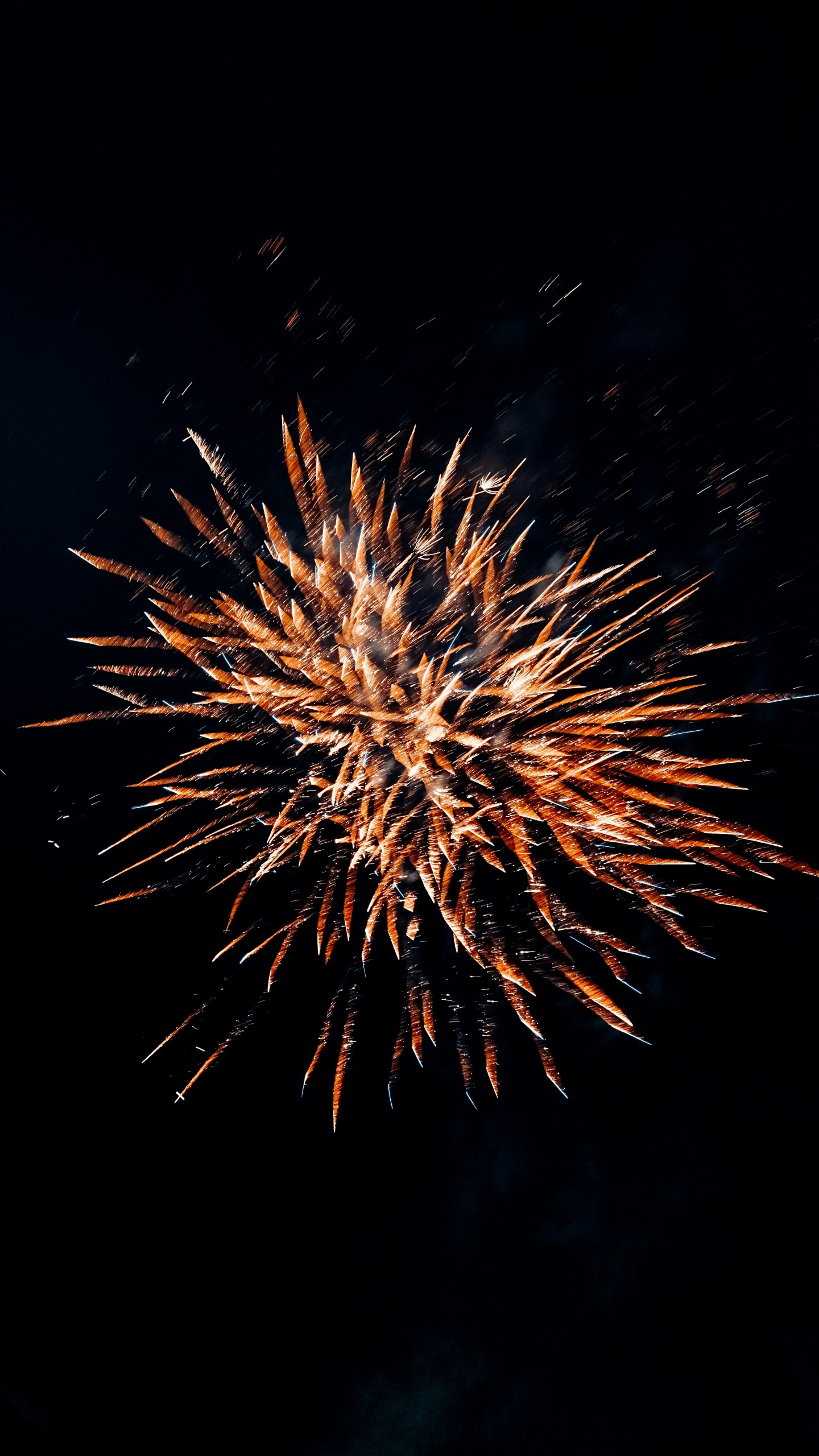 Обои салют, сеор зорро - тапас кнайпе, канун Нового года, вечеринка, Новогодний Фейерверк в разрешении 1440x2560