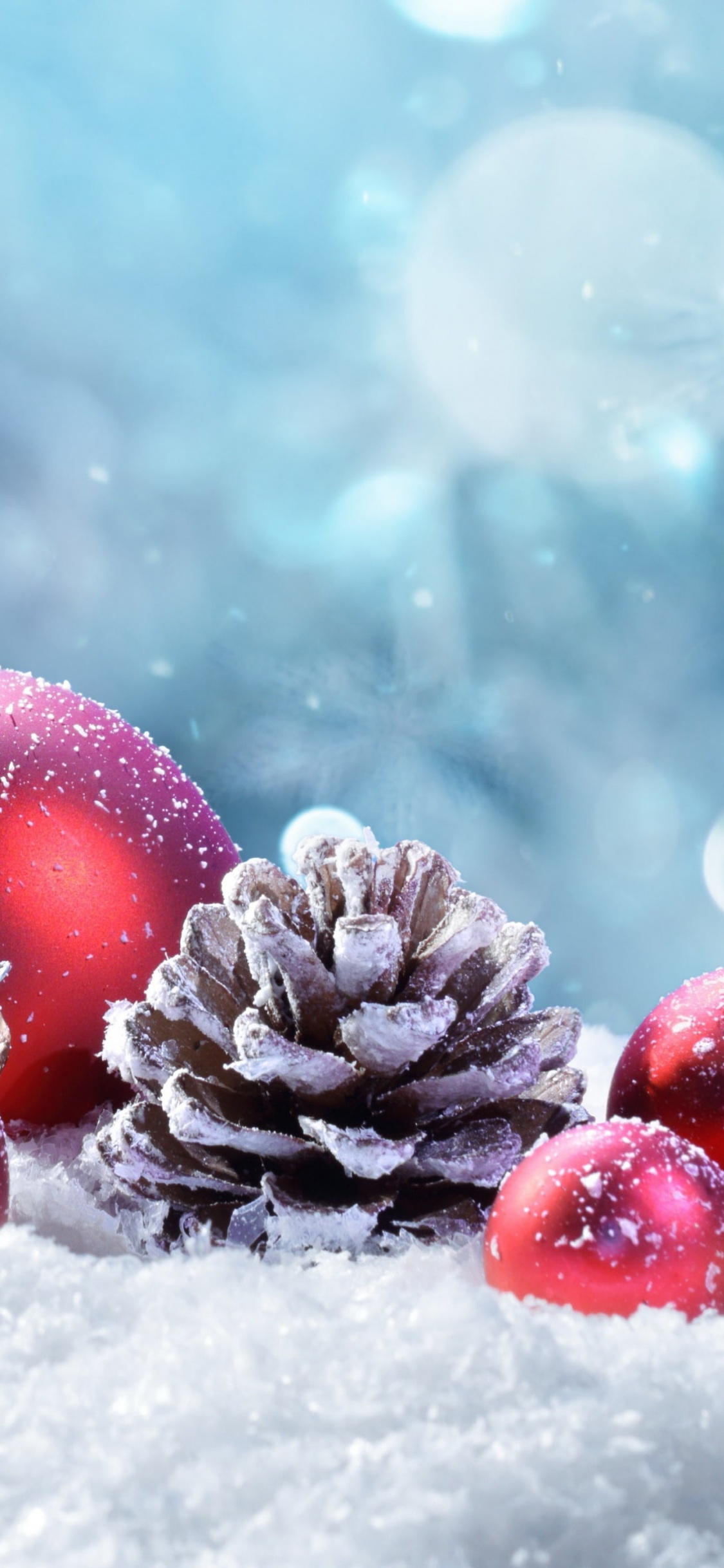 Обои Рождественский день, снег, рождественский орнамент, растение, природный ландшафт в разрешении 1125x2436