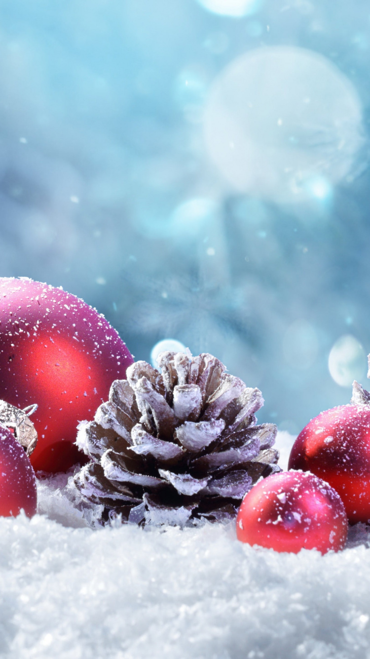 Обои Рождественский день, снег, рождественский орнамент, растение, природный ландшафт в разрешении 750x1334