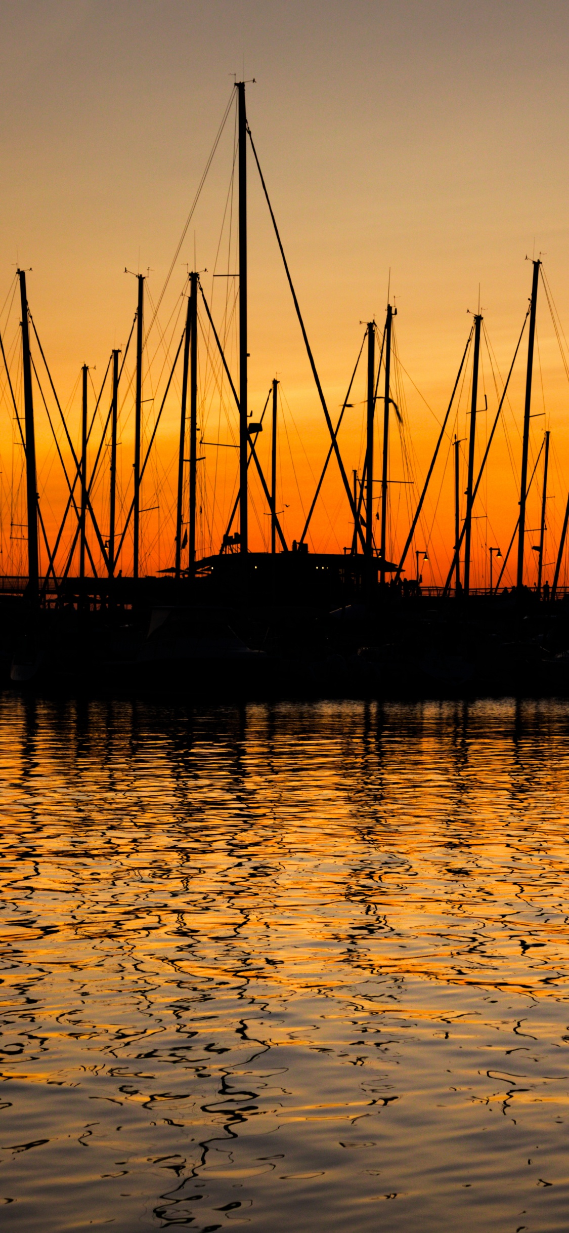 Обои отражение, вода, природа, закат, горизонт в разрешении 1125x2436