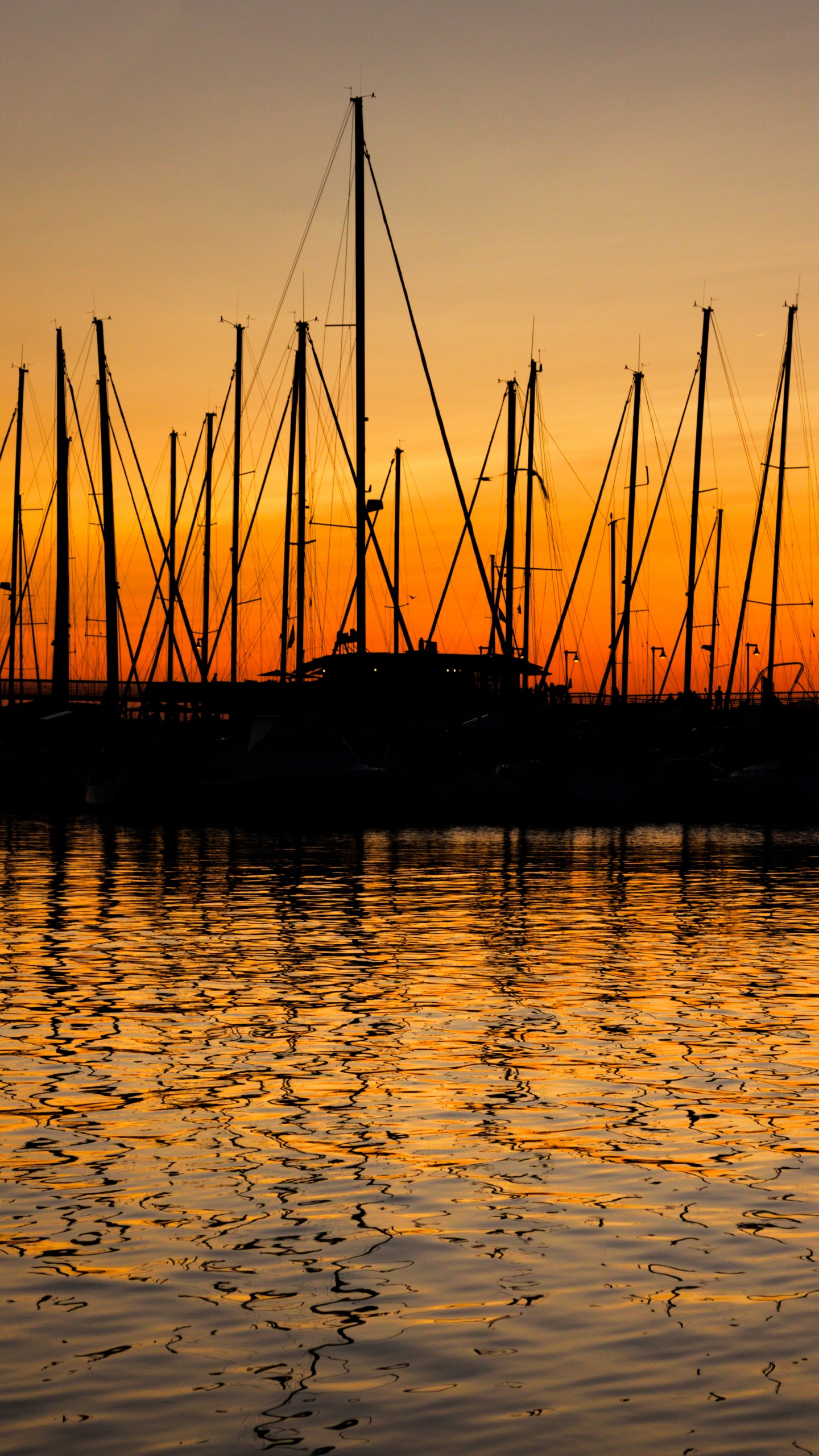 Обои отражение, вода, природа, закат, горизонт в разрешении 1440x2560