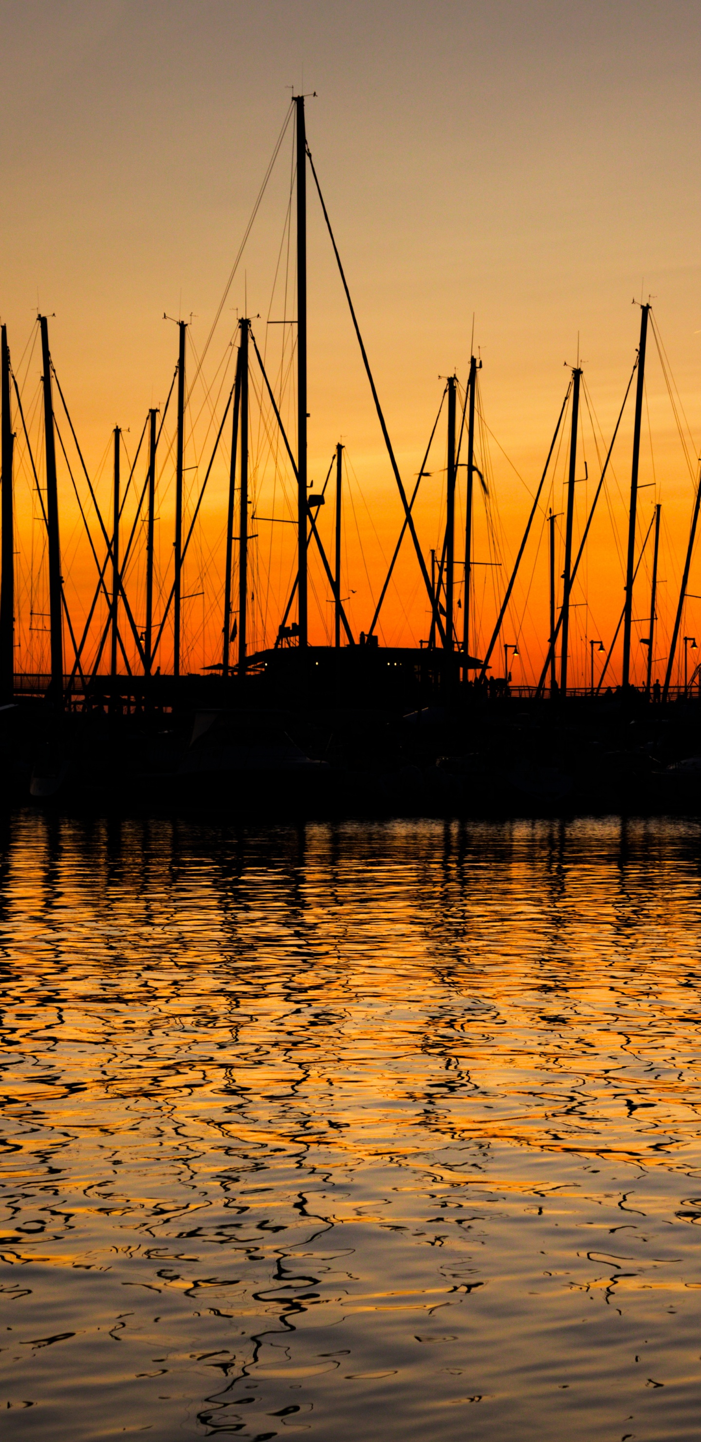 Обои отражение, вода, природа, закат, горизонт в разрешении 1440x2960