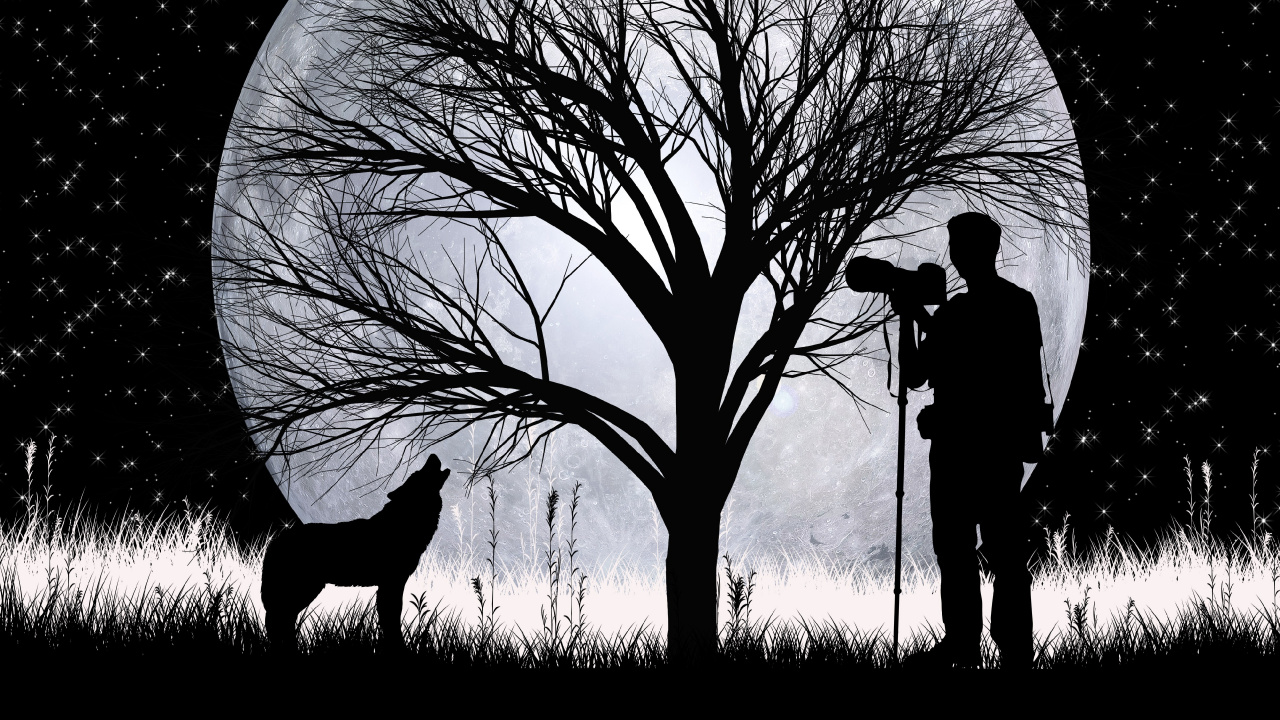 Обои волк, силуэт, луна, арт, дерево в разрешении 1280x720