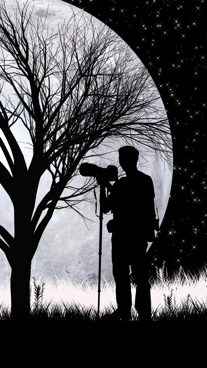 Обои волк, силуэт, луна, арт, дерево в разрешении 720x1280