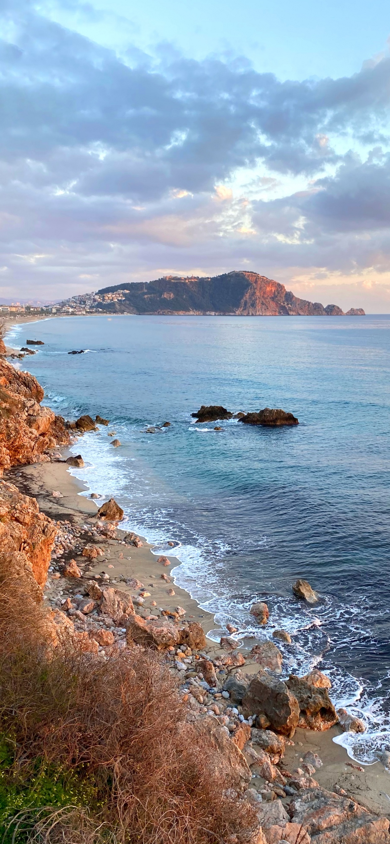 Обои побережье, вода, облако, лазурный, растение в разрешении 1242x2688