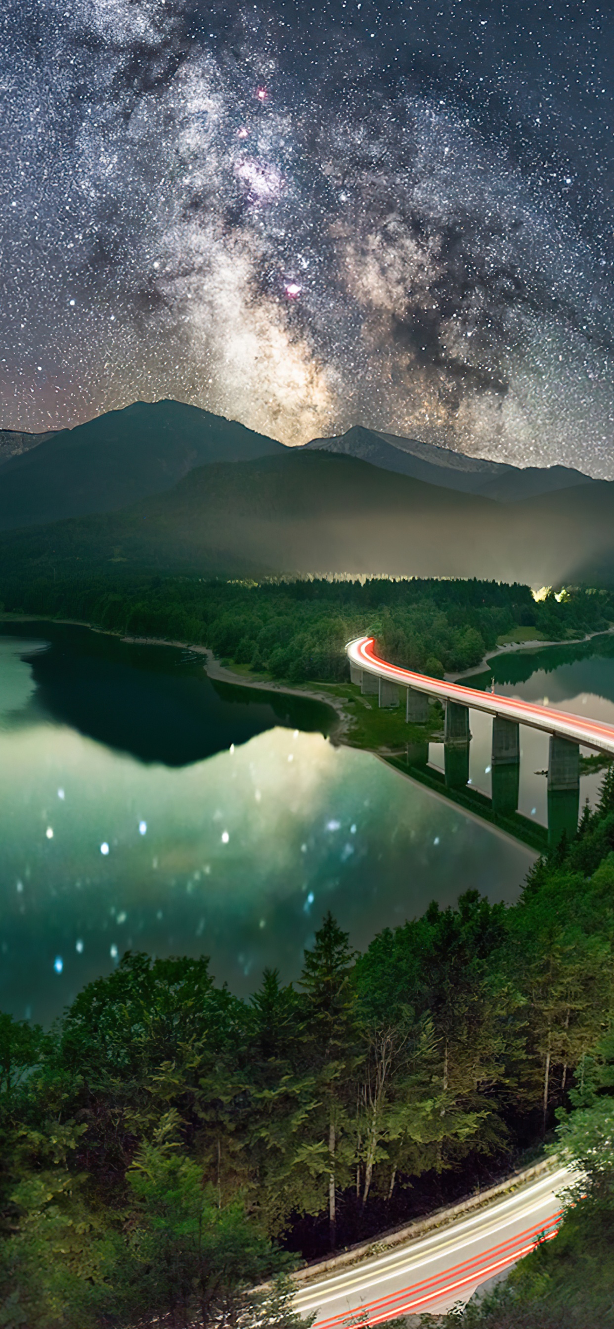 Обои вода, растение, гидроресурсы, мир, свет в разрешении 1242x2688