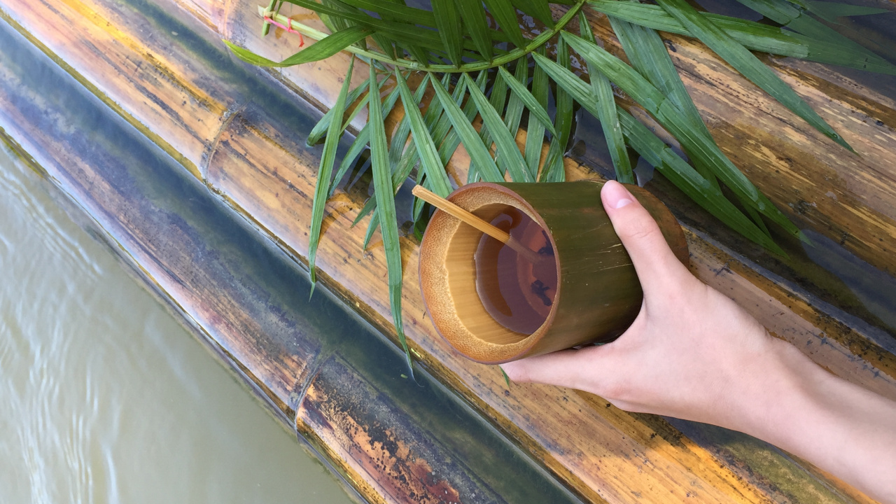 Обои лист, стебель растения, пальмовые рощи, трава, наука в разрешении 1280x720