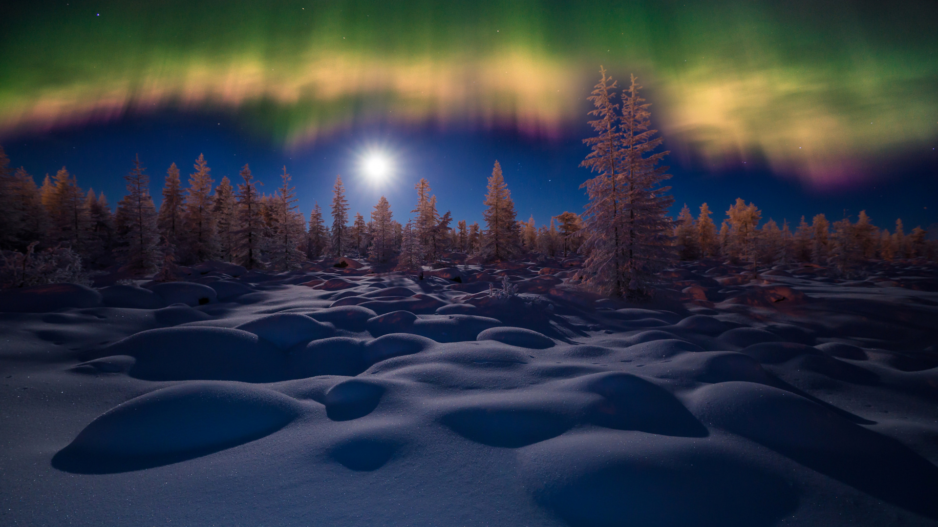 Обои Аврора, зима, ночь, дерево, природа в разрешении 1920x1080