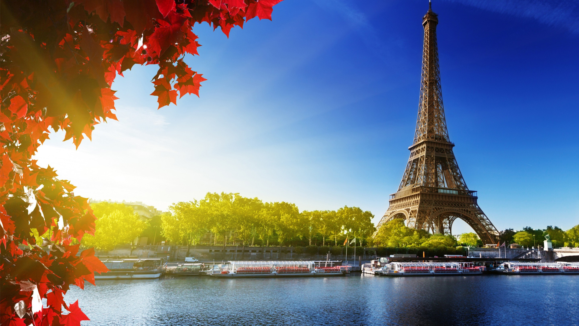 Обои Эйфелева башня, вышка, ориентир, природа, дерево в разрешении 1920x1080