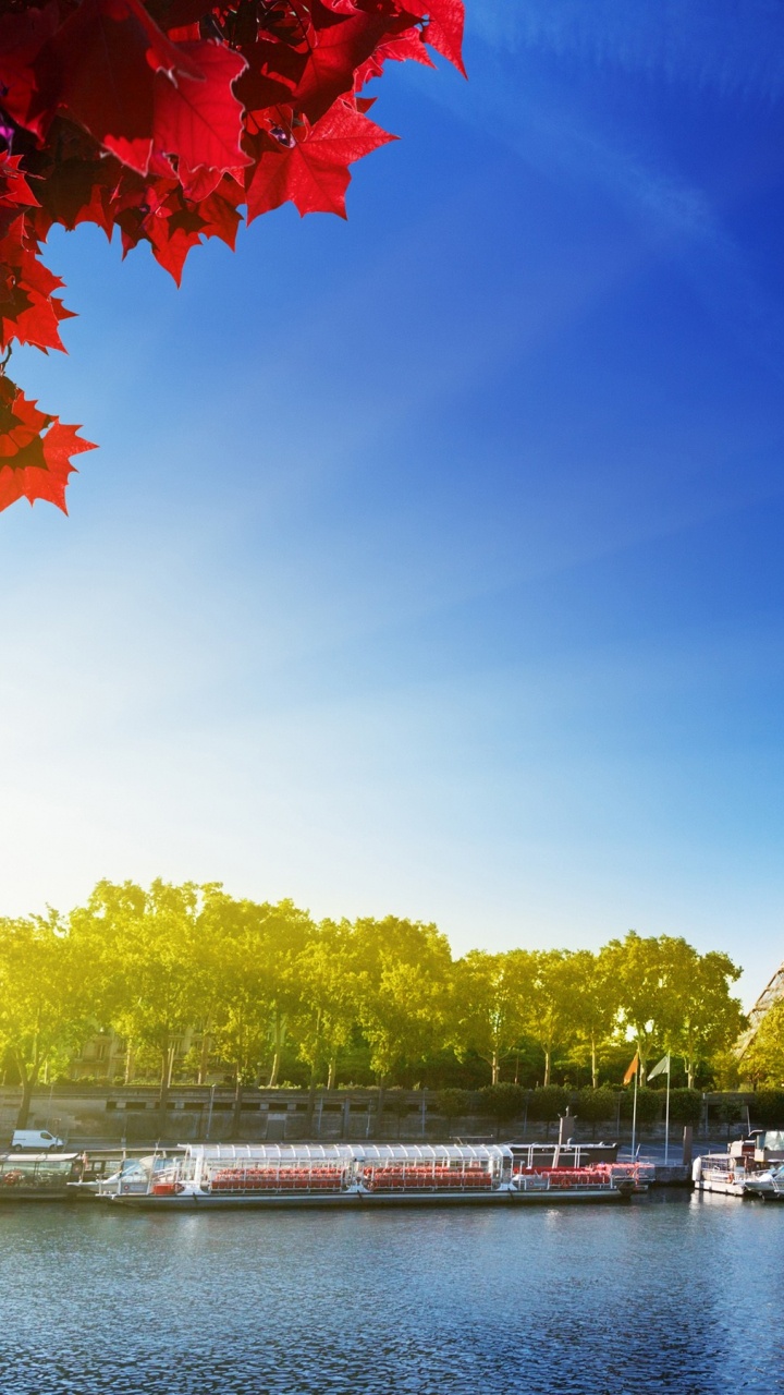 Обои Эйфелева башня, вышка, ориентир, природа, дерево в разрешении 720x1280