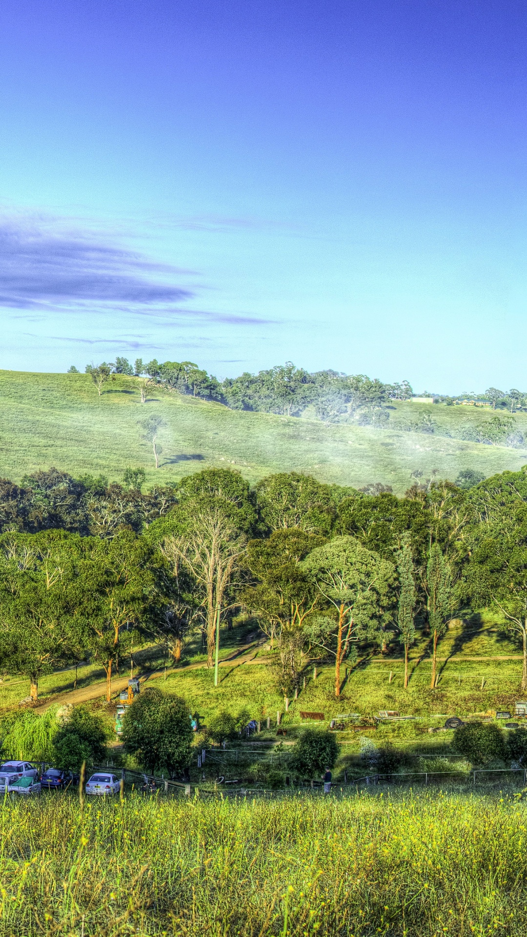 Обои природный заповедник, природа, растительность, нагорье, сенокосное угодье в разрешении 1080x1920