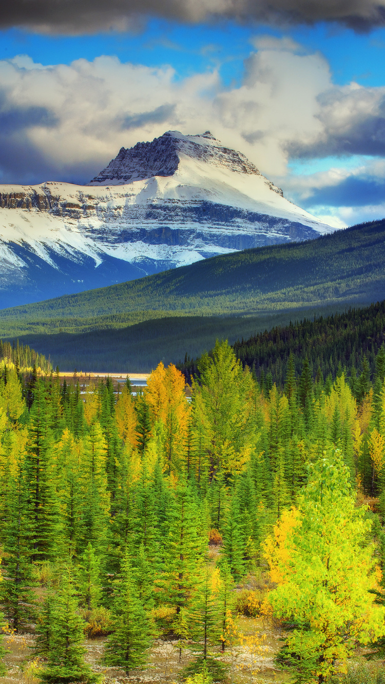 Обои моренное озеро, банфф, парк, природа, дикая местность в разрешении 750x1334