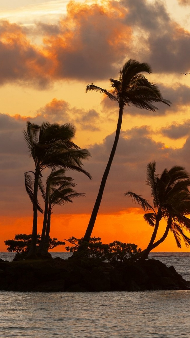 Обои закат, море, пляж, Остров, горизонт в разрешении 720x1280