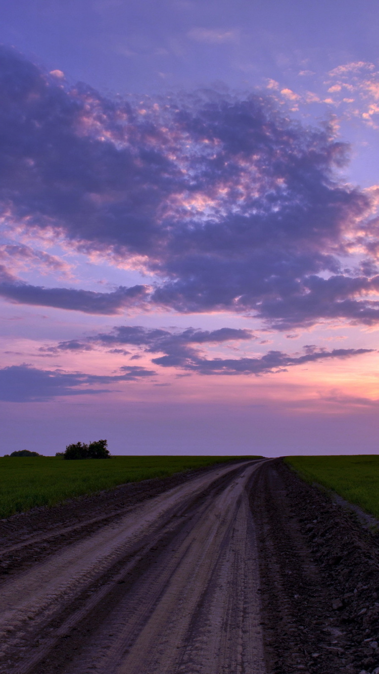 Обои поле, горизонт, облако, дорога, равнина в разрешении 750x1334