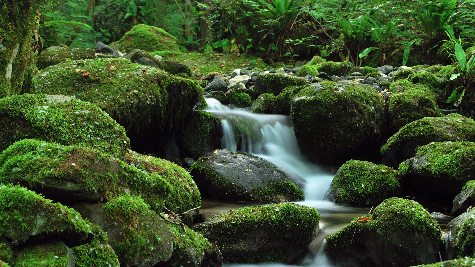 Обои поток, природа, гидроресурсы, водоток, вода в разрешении 1920x1080