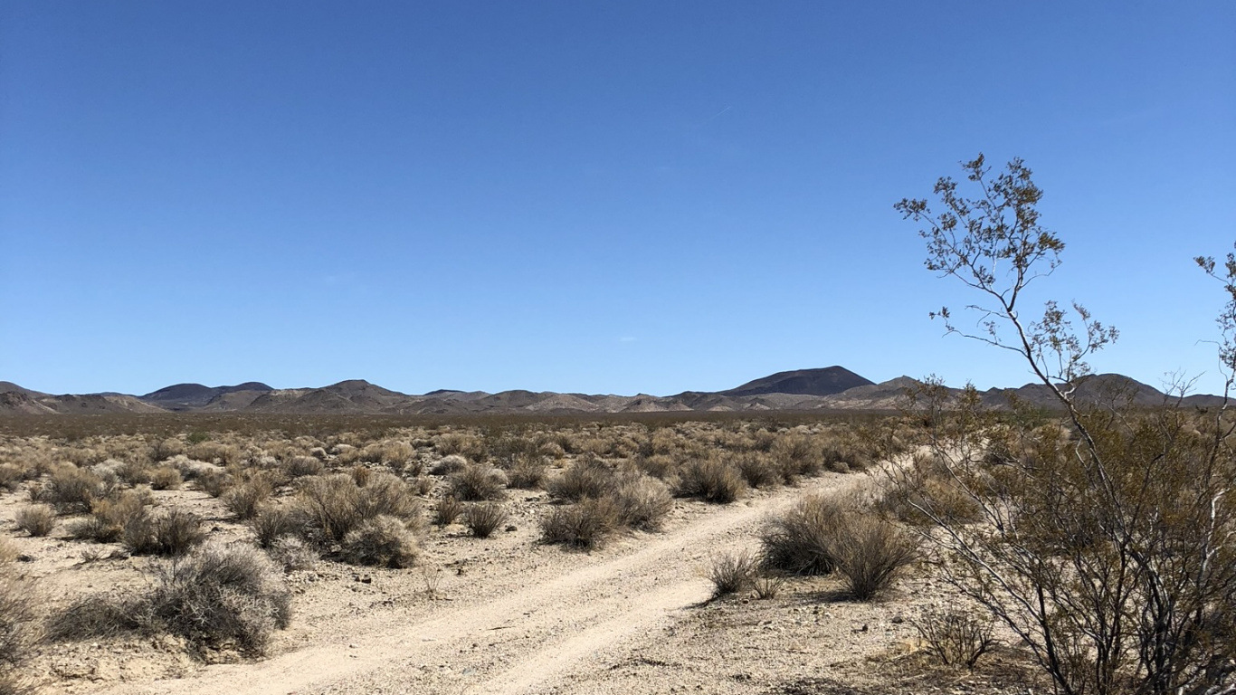 Обои США, Мохаве, окружающая среда, растительное сообщество, пейзаж в разрешении 1366x768