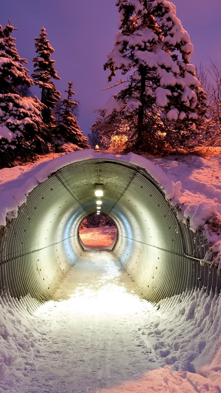 Обои туннель, снег, зима, дерево, замораживание в разрешении 750x1334