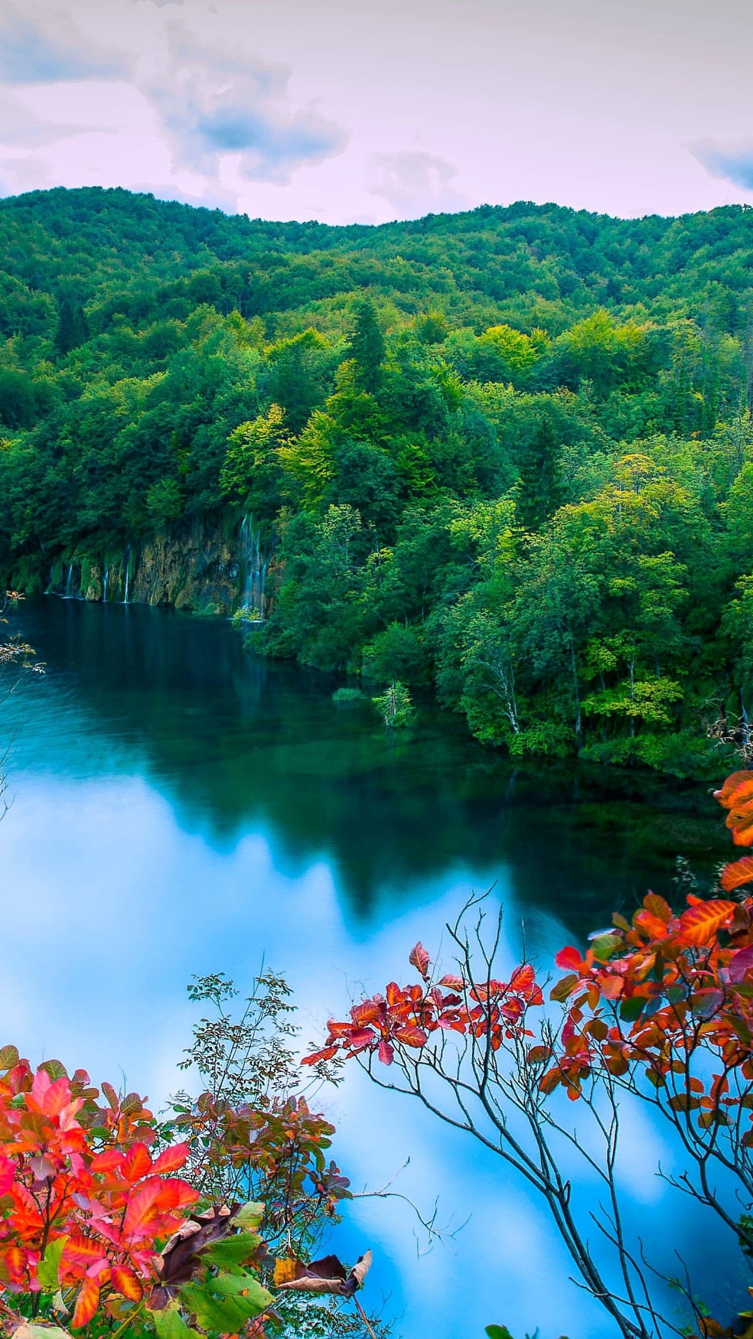 Обои природа, лист, растительность, дикая местность, вода в разрешении 1080x1920