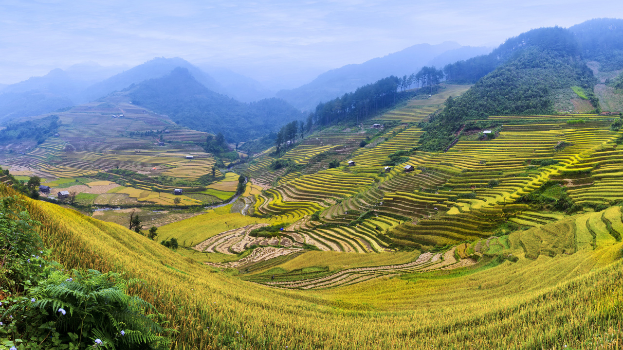 Обои пейзаж, нагорье, терраса, горная станция, рисовое поле в разрешении 1280x720