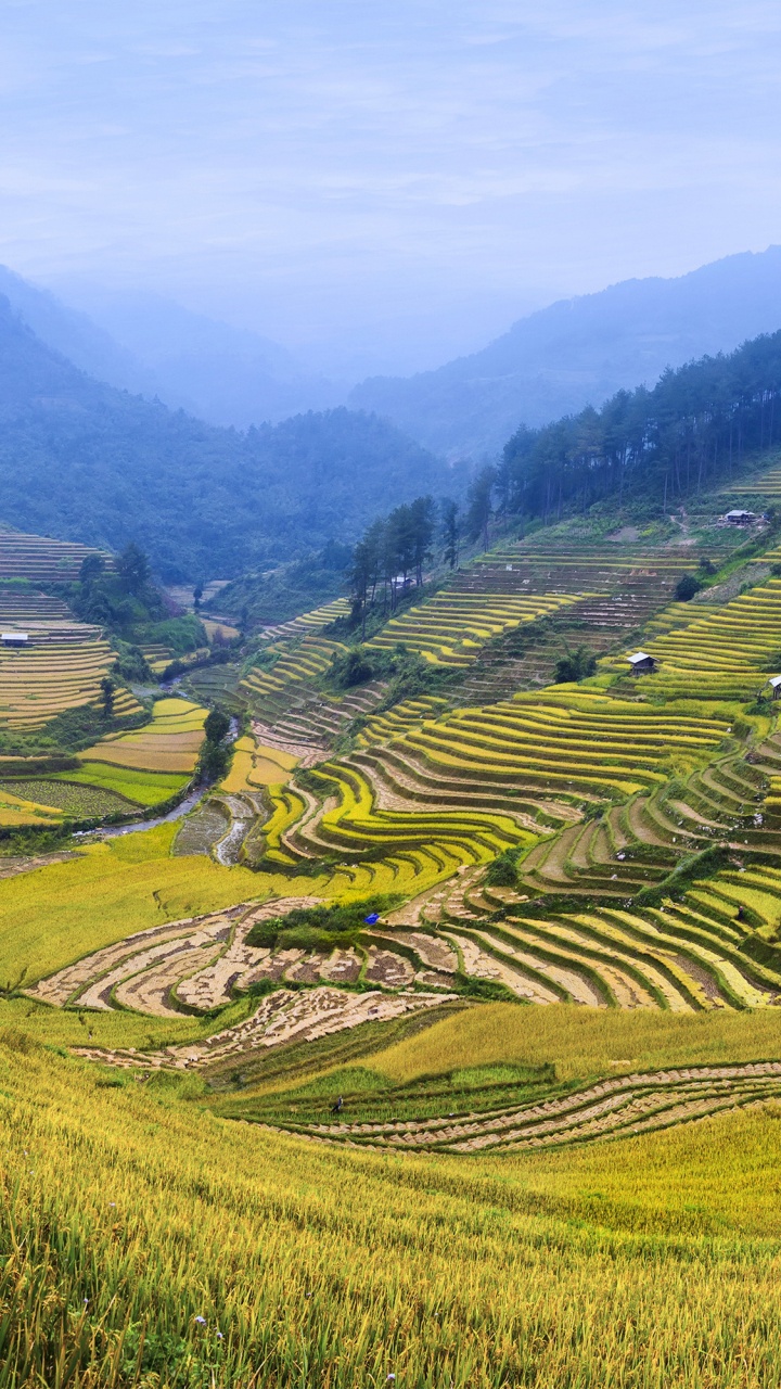 Обои пейзаж, нагорье, терраса, горная станция, рисовое поле в разрешении 720x1280