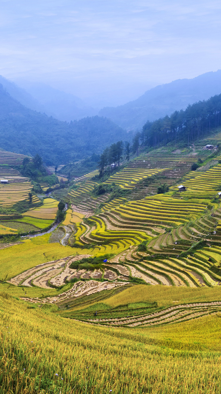 Обои пейзаж, нагорье, терраса, горная станция, рисовое поле в разрешении 750x1334
