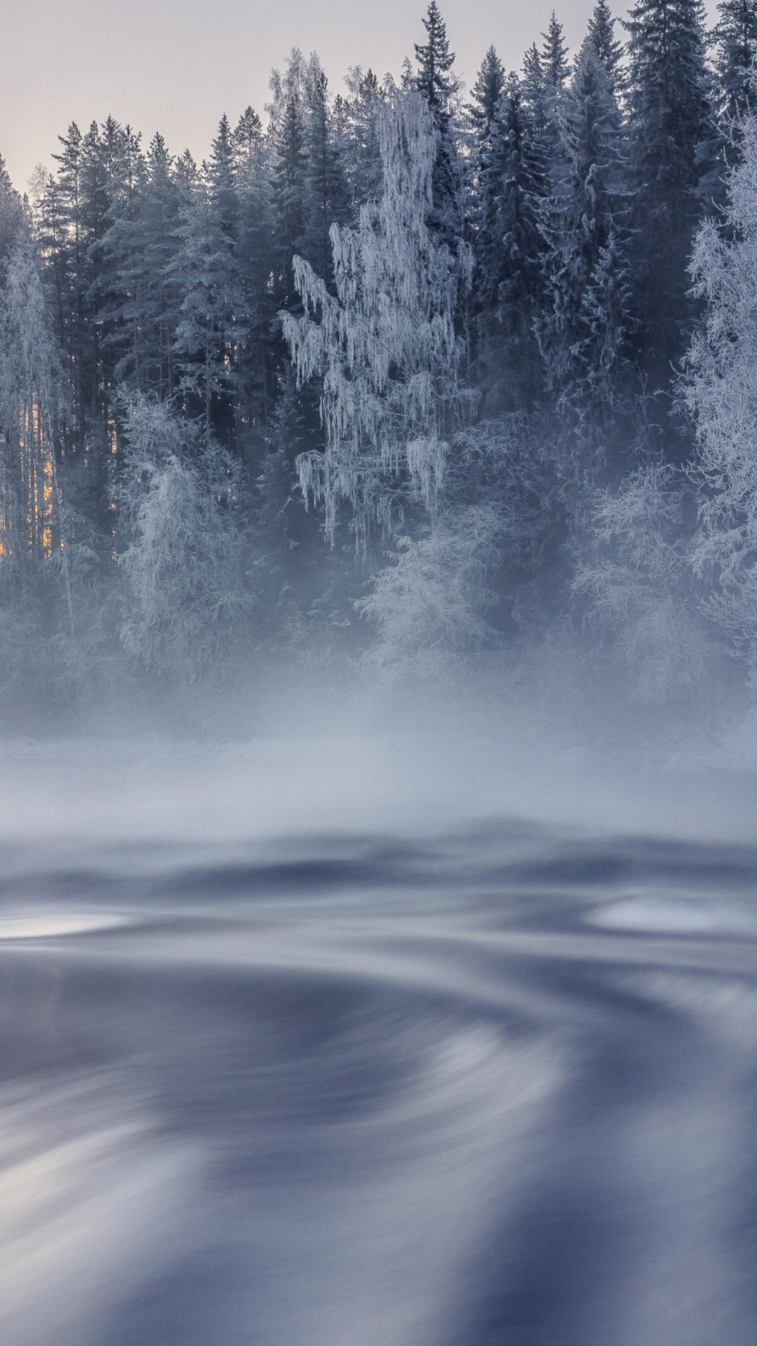 Обои простуда, вода, атмосфера, природный ландшафт, дерево в разрешении 1080x1920