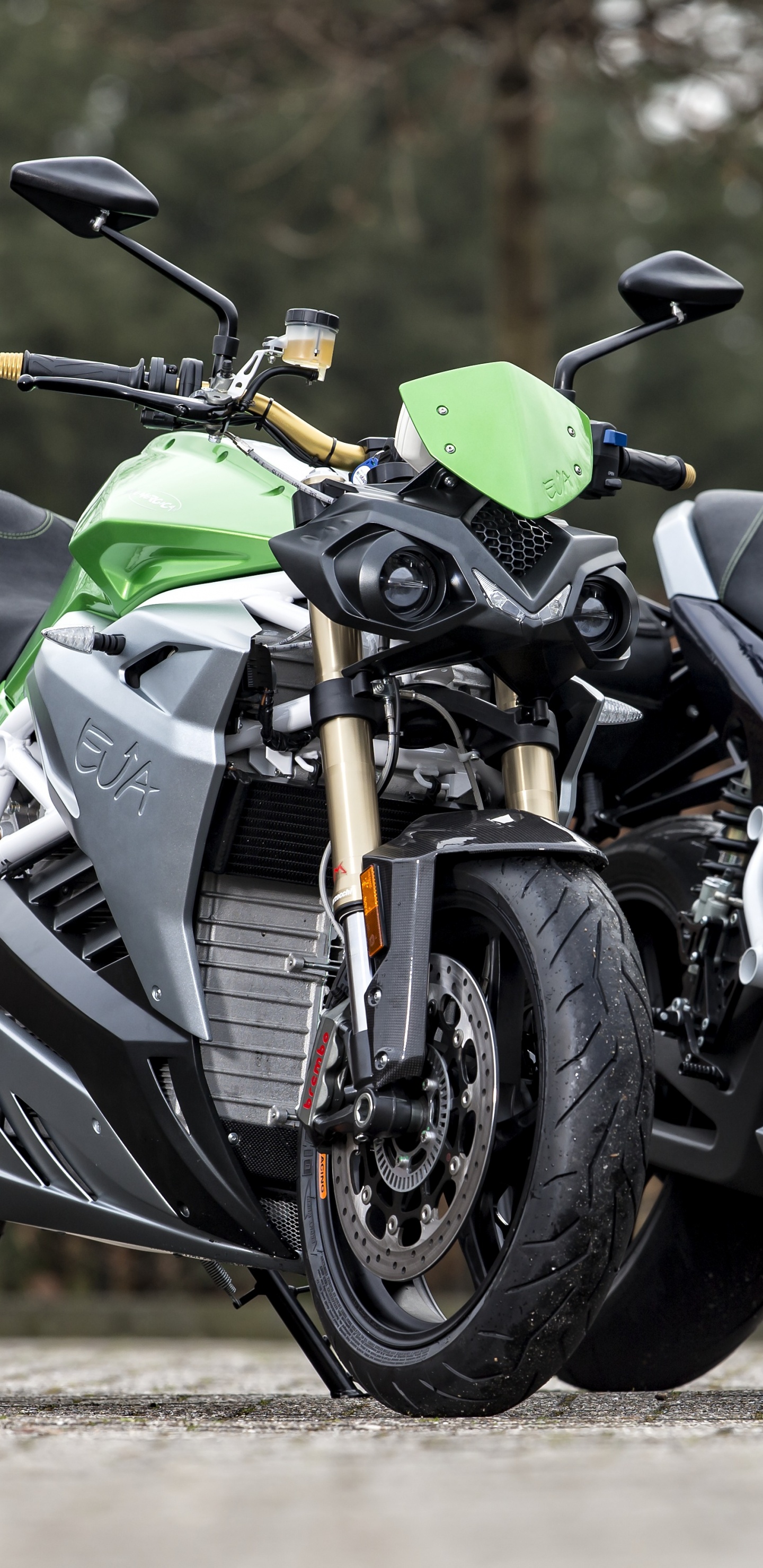 Обои Energica Эго, Мотор Компании Energica, мотоцикл, Электрические мотоциклы и скутеры, электрический велосипед в разрешении 1440x2960