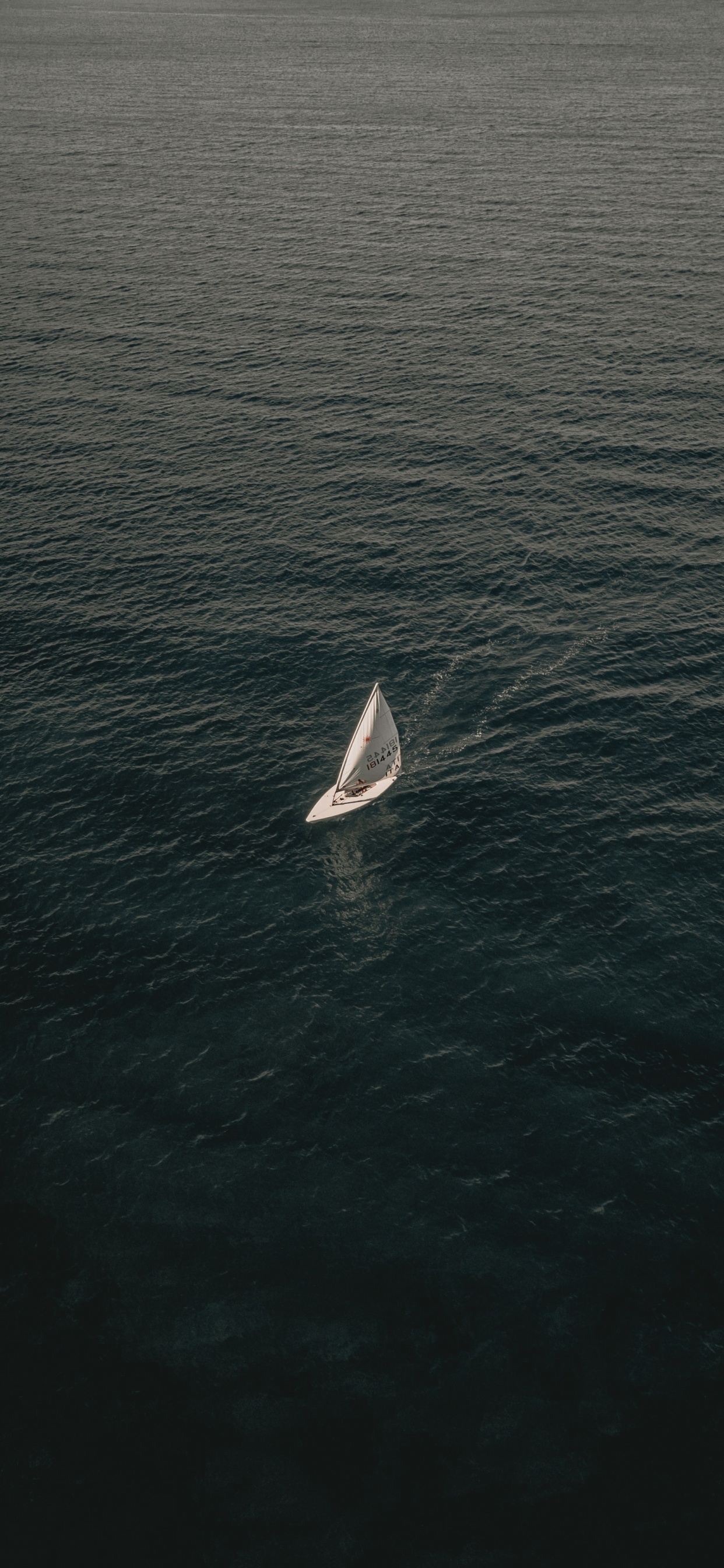 Обои спокойный, с высоты птичьего полета, волна, водоем, горизонт в разрешении 1242x2688