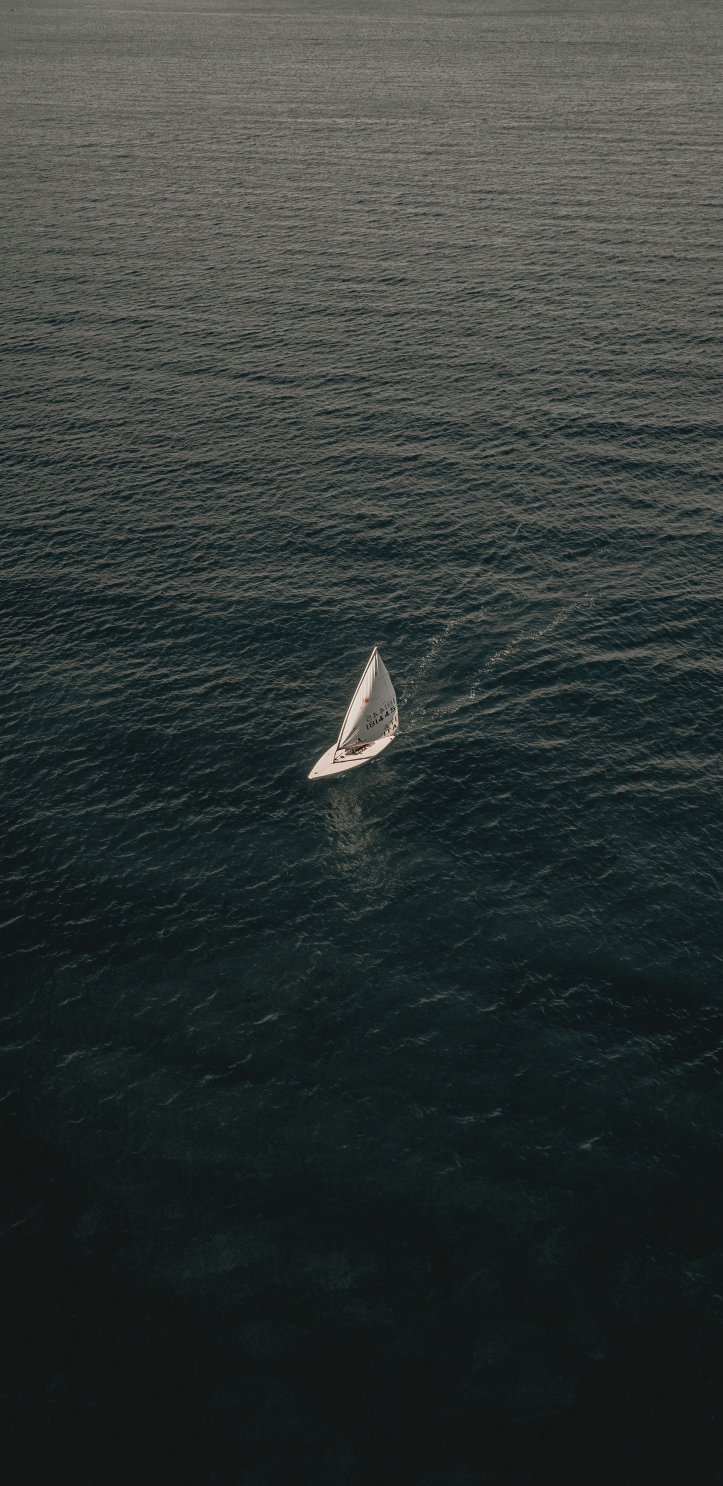 Обои спокойный, с высоты птичьего полета, волна, водоем, горизонт в разрешении 1440x2960